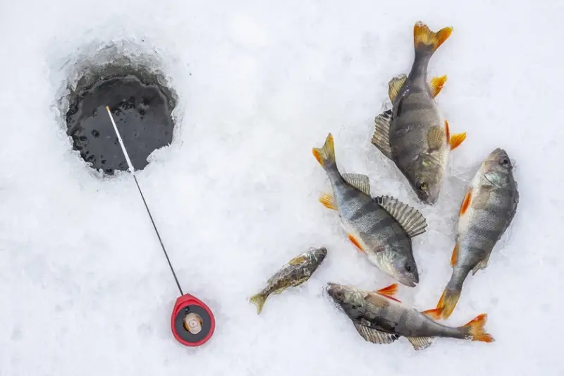 Pesca en el hielo