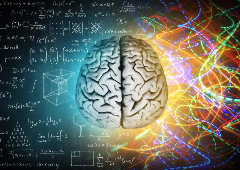 Les Découvertes Récentes en Neurosciences : Vers une Compréhension Plus Profonde de Notre Cerveau