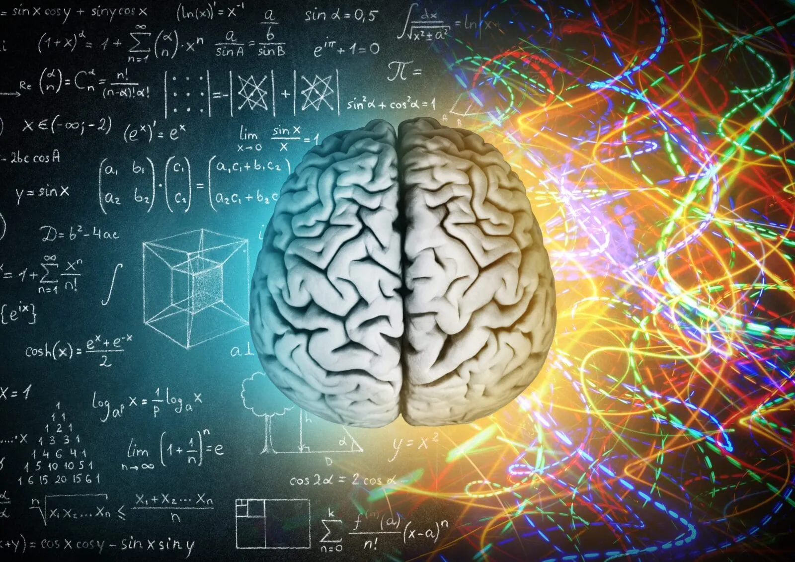 Les Découvertes Récentes en Neurosciences : Vers une Compréhension Plus Profonde de Notre Cerveau