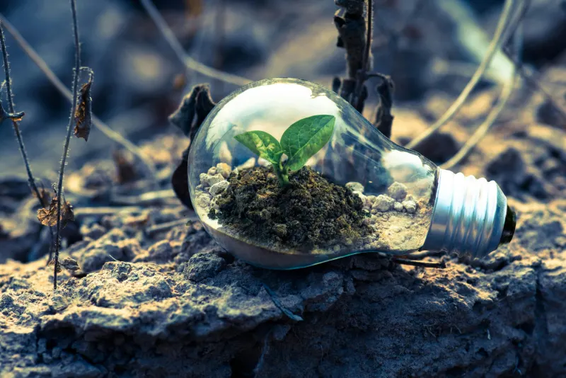 Les Startups Écologiques à Suivre en 2024 : L’innovation Verte au Service de Demain