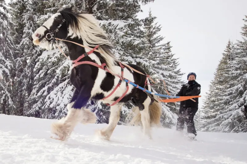 Sports d’hiver insolites : avez-vous déjà essayé le snow yoga ou le ski joëring ?