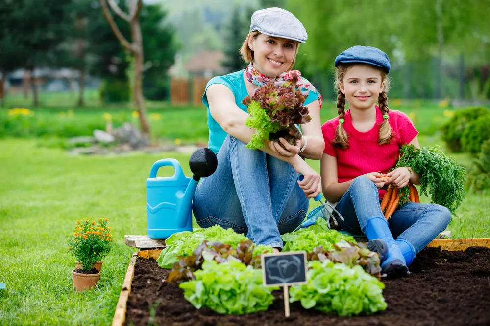 La révolution du "slow living" à la canadienne : comment le pays réinvente l'art du bien-être en 2025