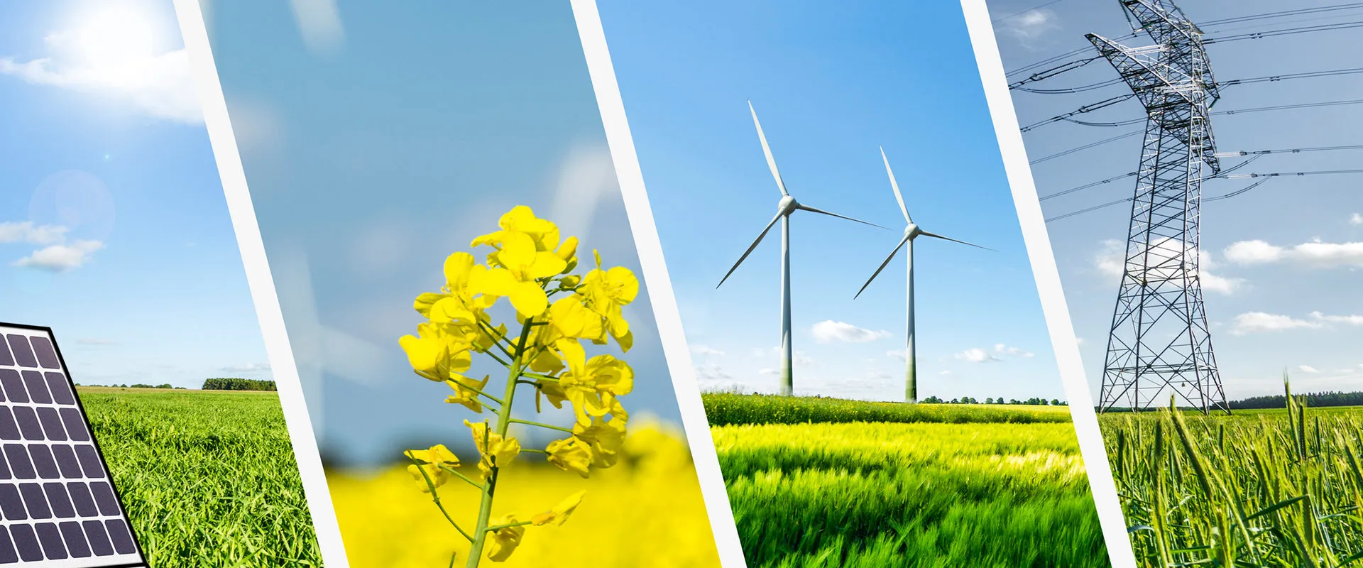 Les Innovations en Énergie Verte au Canada en 2025 : Vers un Avenir Durable