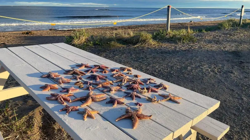 🏖️ Plage d'Aguanish : Ce petit trésor caché du Québec à explorer absolument cet été