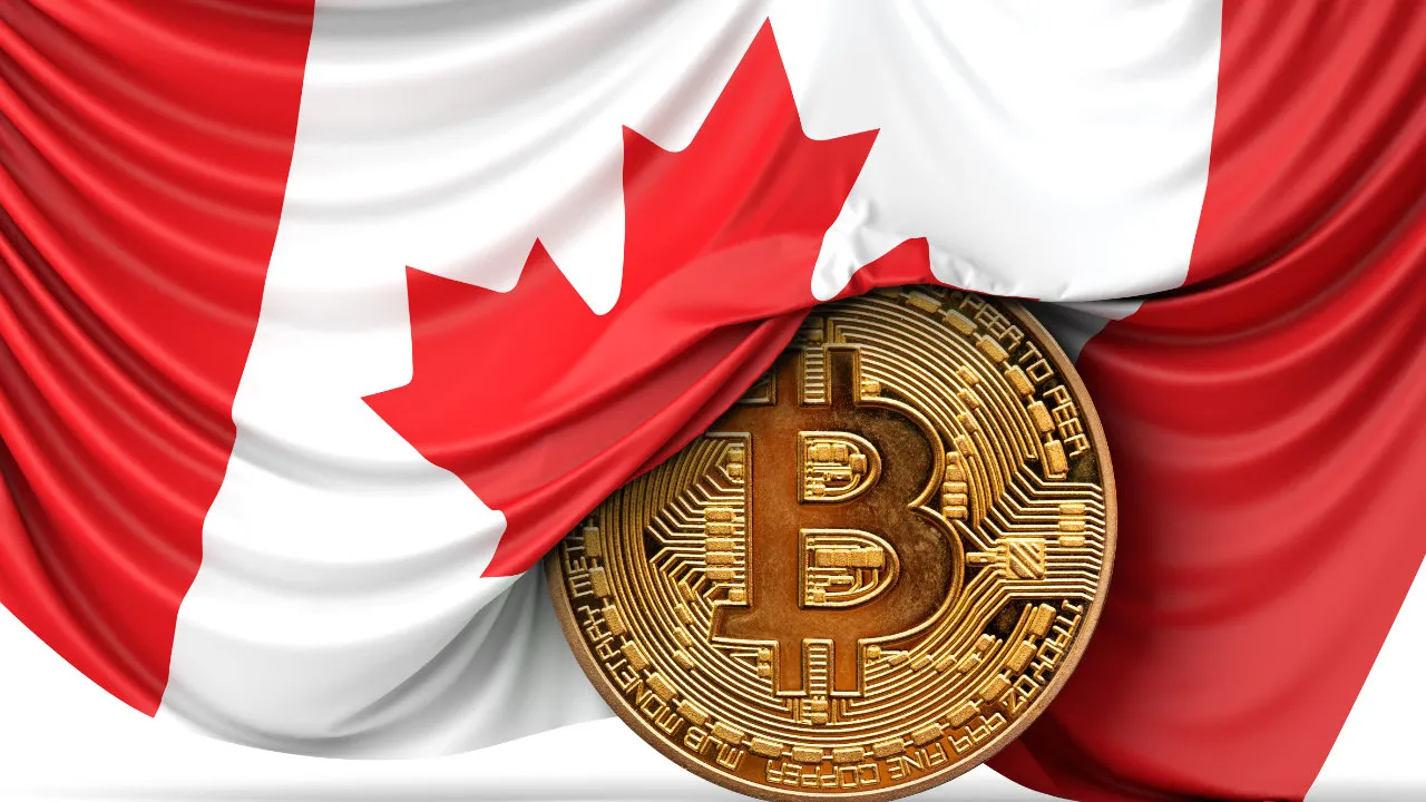 Le Bitcoin à la Canadienne : Comment des Fermiers de l'Alberta Minent des Cryptos Avec Leur Bétail