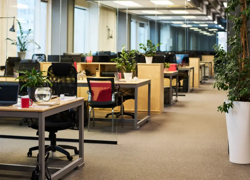 Les espaces de travail biophiliques transforment les bureaux modernes