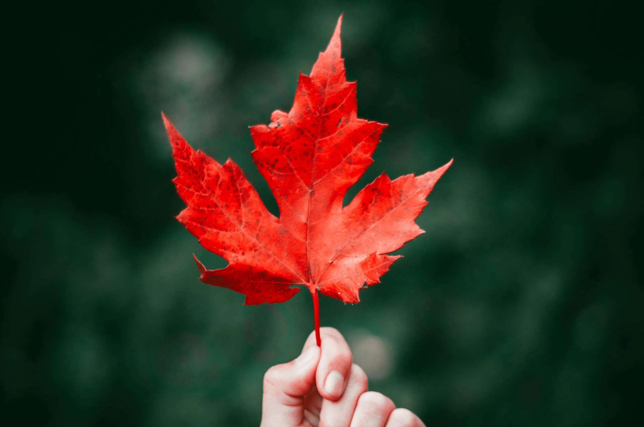 Bien-être et société : les initiatives positives qui ont marqué le Canada en 2025