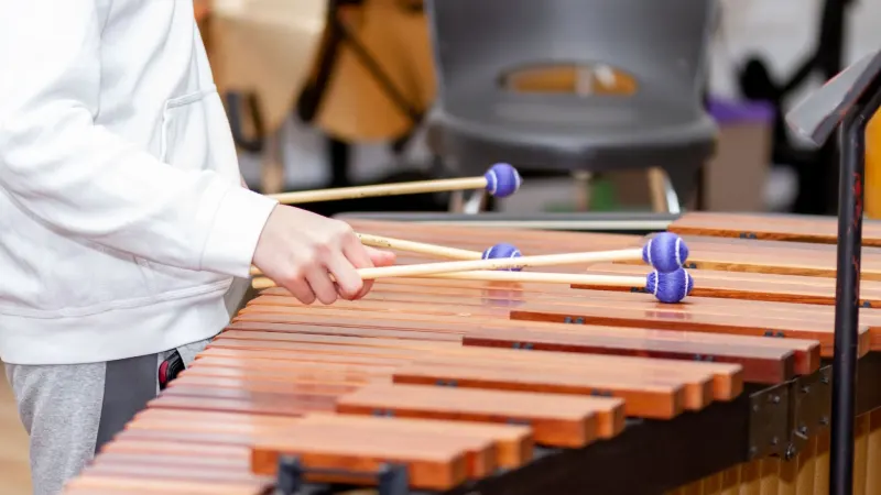 La marimba : ces bois qui ont appris à chanter dans l'Isthme