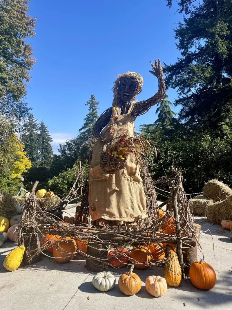 Harvest Days : l’automne en fleurs au jardin VanDusen